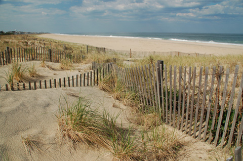 Dune fences