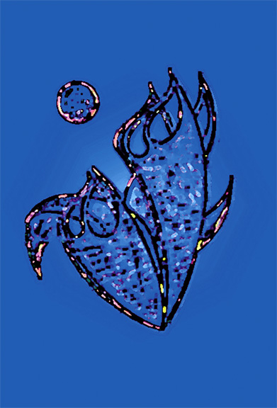 Venus Flower